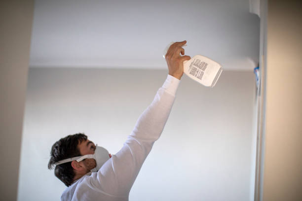 Best Mold Damage Repair  in Albion, MI